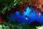 Photo 3. Submarine cave near Riou Island (photo: Luc Vanrell, Comptoir du Plongeur, Marseille).